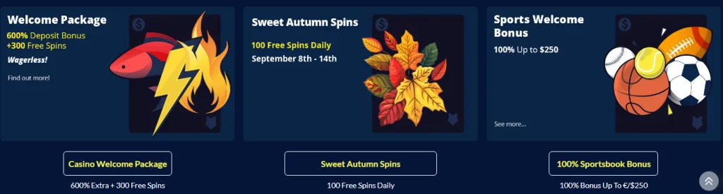 Betfoxx bonus